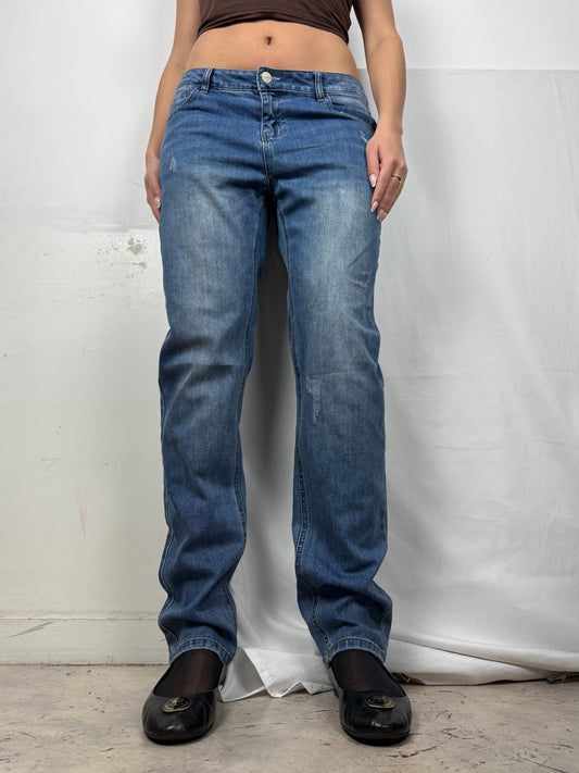 Blue low rise straight legs denim pants (M)