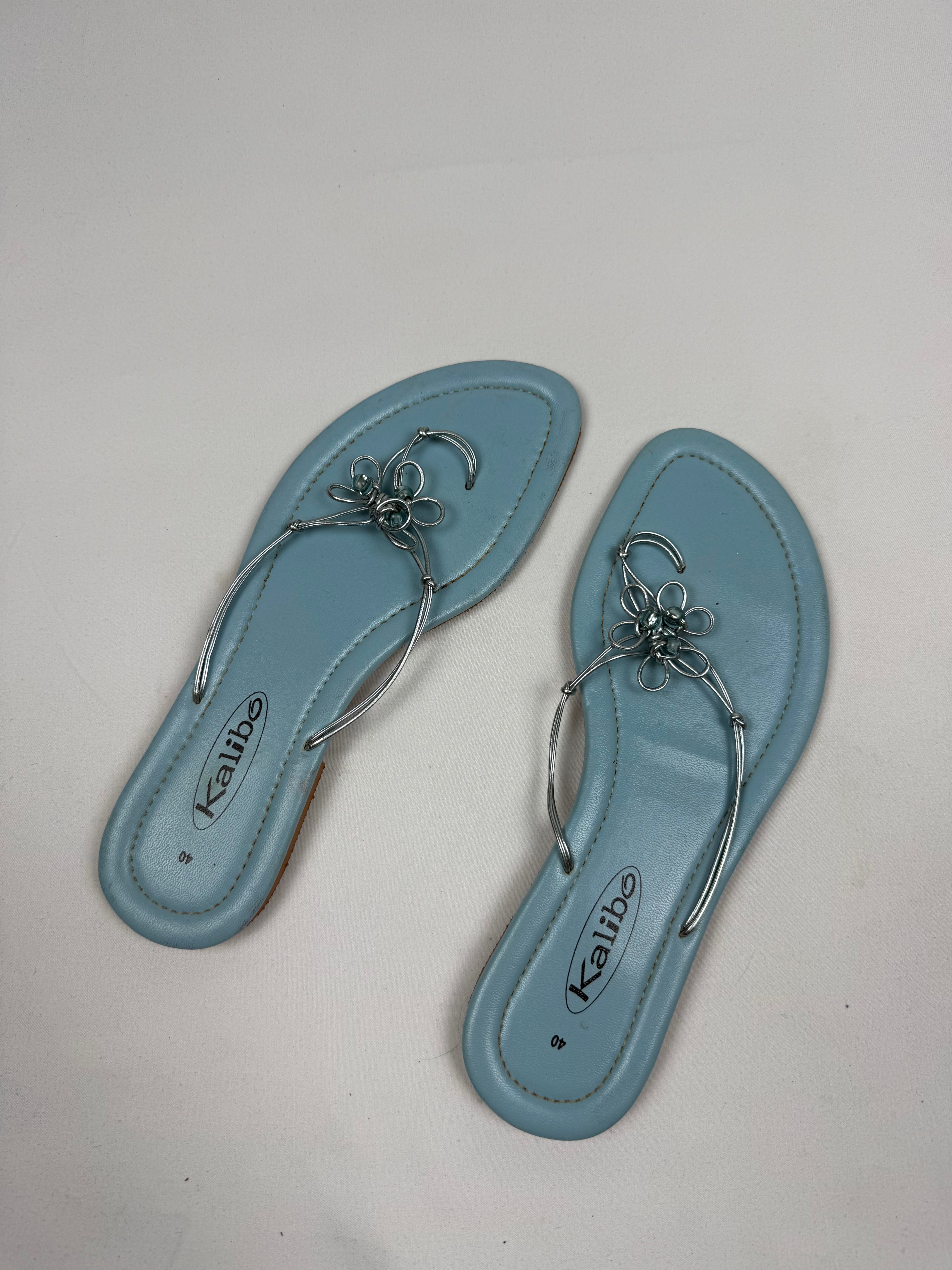 Blue flip flops thongs mules (40)