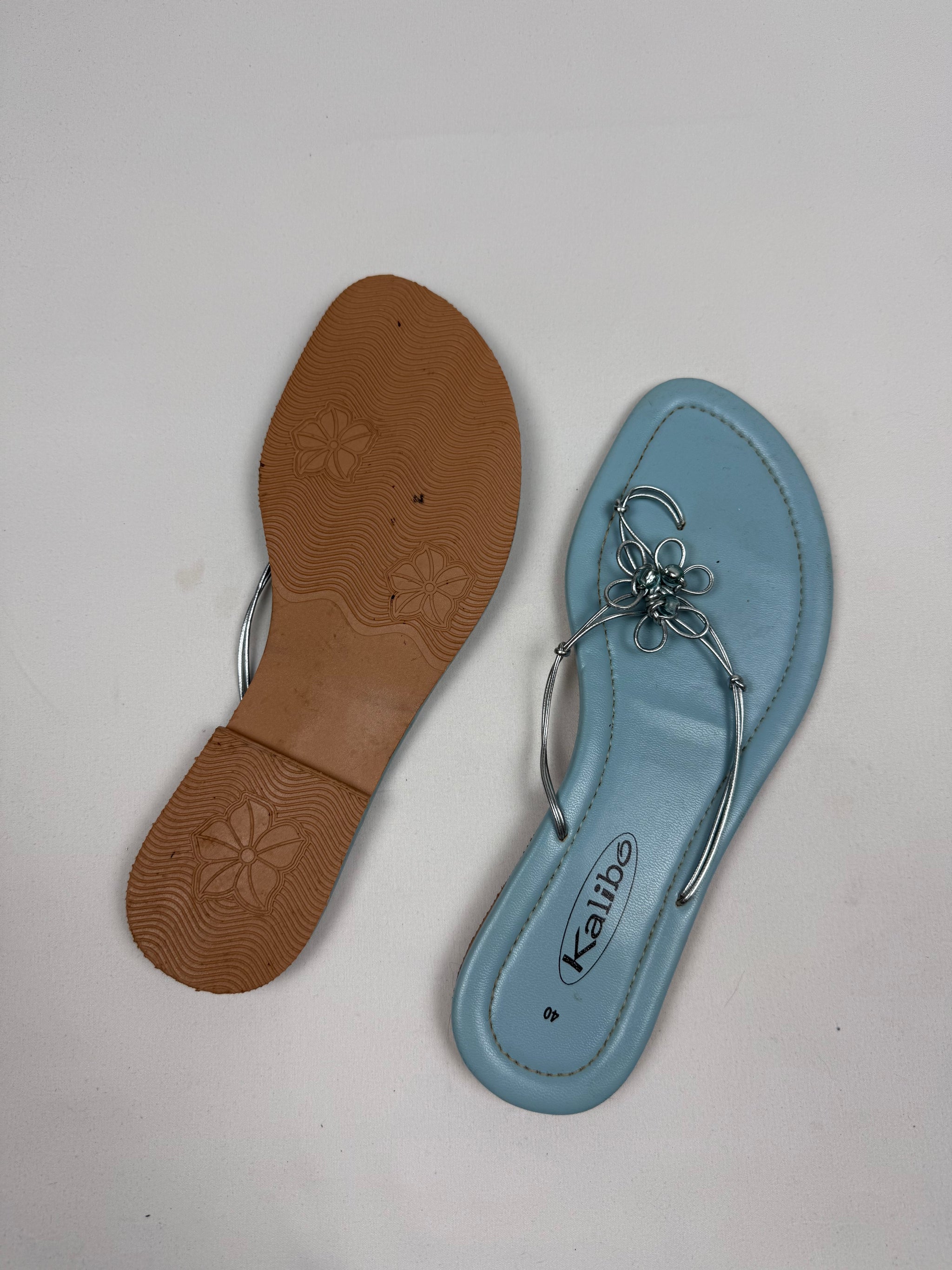 Blue flip flops thongs mules (40)