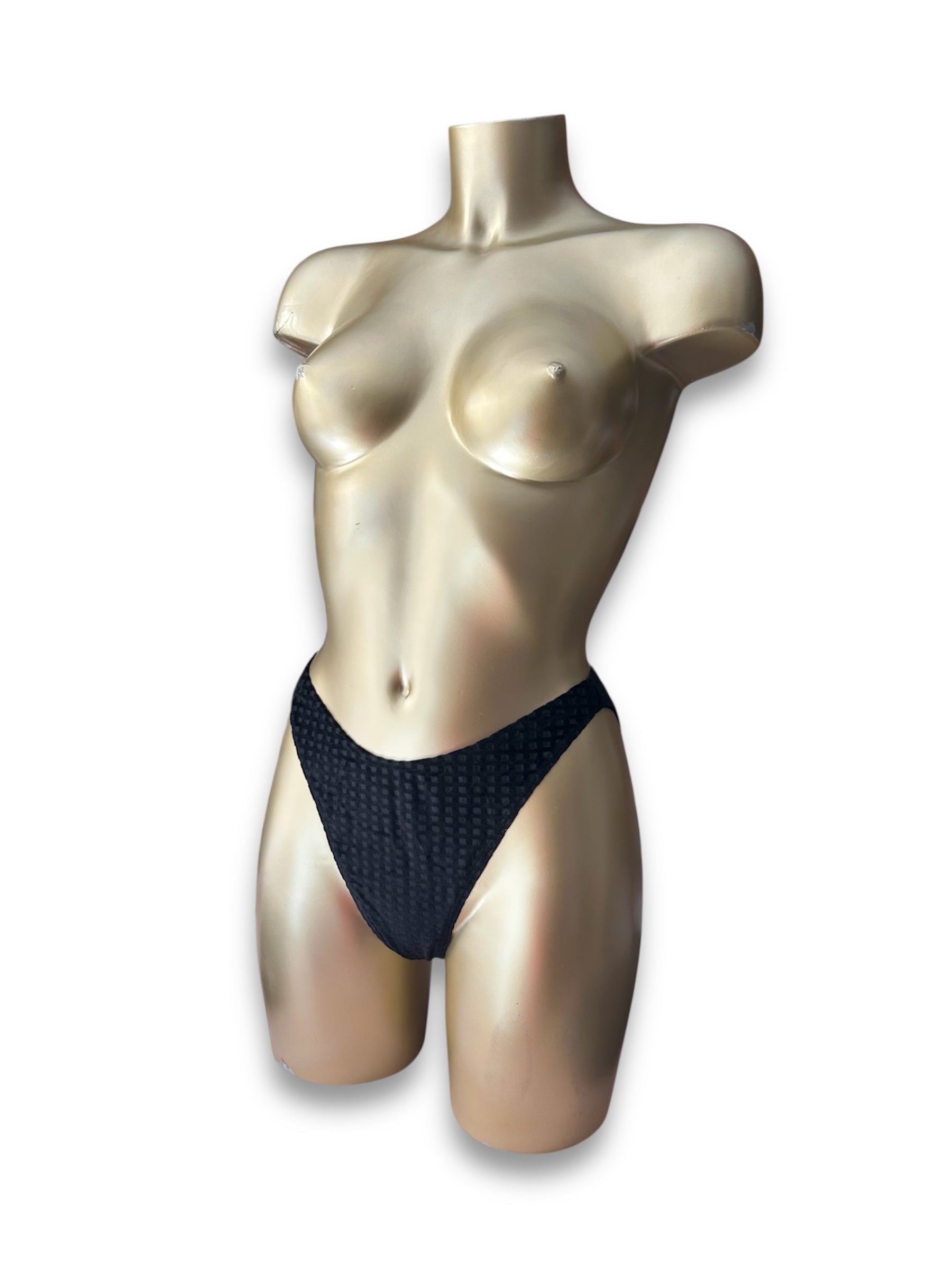 Velvet black high rise bikini bottom (M)
