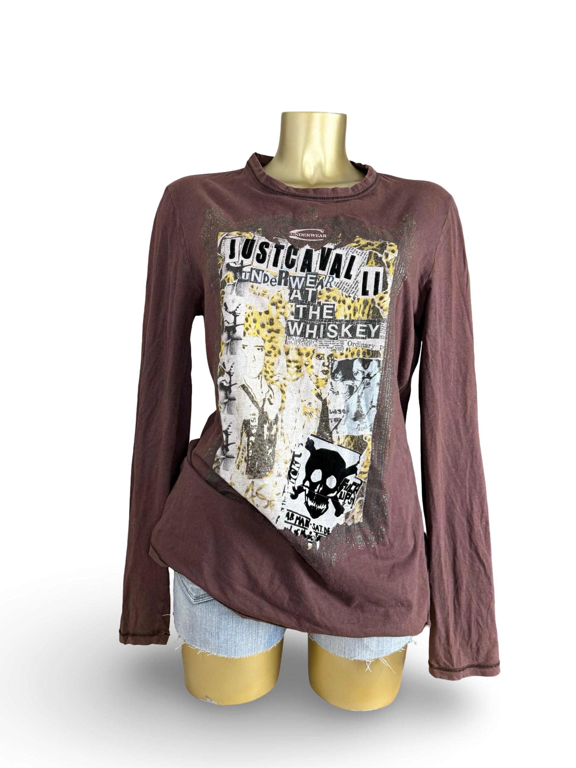 Brown graphic cotton long sleeves top (XL)
